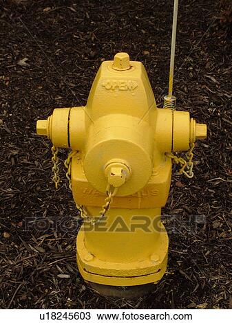 Stock Image -  West Chester, PA, Pennsylvania, Hershey's Mill Chester County, yellow fire hydrant. Fotosearch