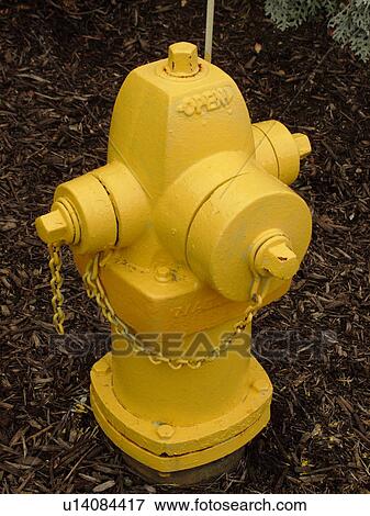 Stock Photo -  West Chester, PA, Pennsylvania, Hershey's Mill Chester County, yellow fire hydrant. Fotosearch