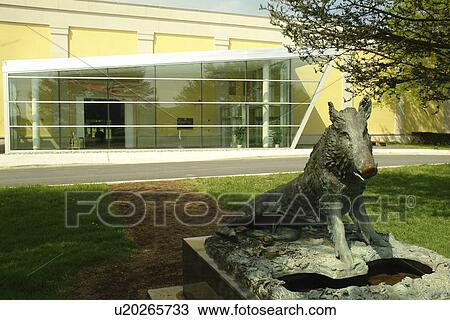 Stock Image -  Wilmington, DE, Delaware, Brandywine River Valley, Delaware Museum of Natural History. Fotosearch
