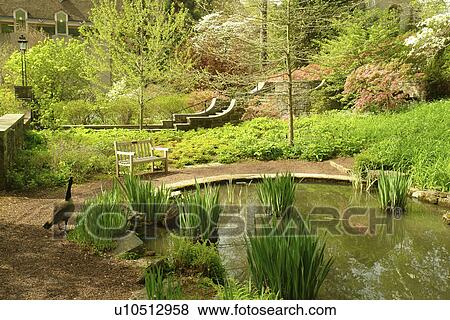 Stock Photo -  Wilmington, DE, Delaware, Brandywine River Valley, Winterthur, an American Country Estate, Museum and County Estates, former home of Henry Francis du Pont, garden, pool, Canadian Goose. Fotosearch