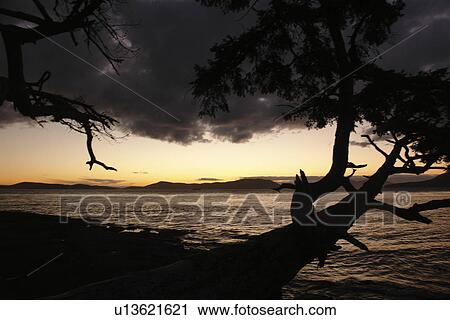 Anacortes, WA, Washington, Puget Sound, San Juan Islands, Washington Park, Fidalgo Island View Large Photo Image Stock Image - Anacortes, WA, Washington, Puget Sound, San Juan Islands, Washington Park, Fidalgo Island. Fotosearch