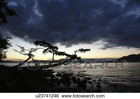 Anacortes, WA, Washington, Puget Sound, San Juan Islands, Washington Park, Fidalgo Island View Large Photo Image Stock Photograph - Anacortes, WA, Washington, Puget Sound, San Juan Islands, Washington Park, Fidalgo Island. Fotosearch