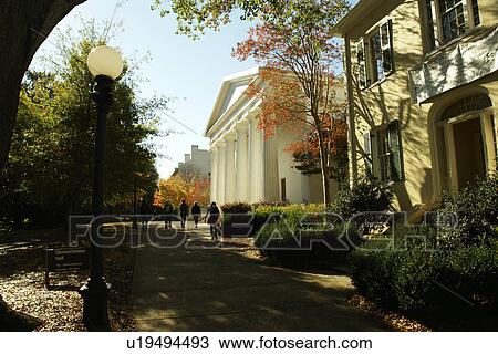 Athens, GA, Georgia, University of Georgia, autumn View Large Photo Image Stock Image - Athens, GA, Georgia, University of Georgia, autumn. Fotosearch
