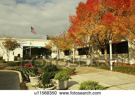 Atlanta, GA, Georgia, The Selig Center, William Breman Jewish Heritage Museum, autumn View Large Photo Image Stock Image - Atlanta, GA, Georgia, The Selig Center, William Breman Jewish Heritage Museum, autumn. Fotosearch