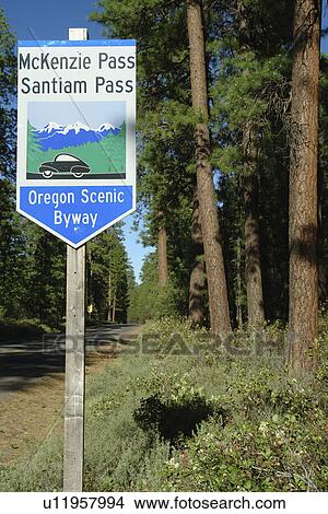 Bend, OR, Oregon, Deschutes National Forest, McKenzie Pass, Santiam Pass, Oregon Scenic Byway, road sign View Large Photo Image Picture - Bend, OR, Oregon, Deschutes National Forest, McKenzie Pass, Santiam Pass, Oregon Scenic Byway, road sign. Fotosearch