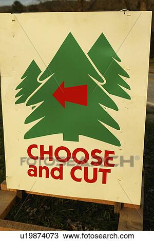 Bethel, VT, Vermont, Choose and Cut Christmas Trees sign View Large Photo Image Stock Image - Bethel, VT, Vermont, Choose and Cut Christmas Trees sign. Fotosearch