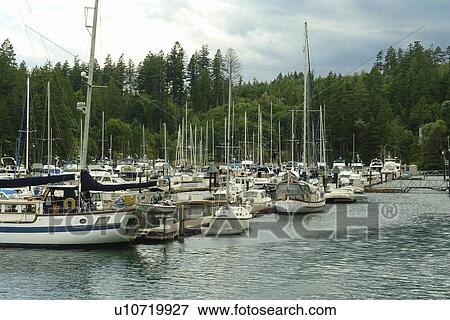 Stock Photo -  Brinnon, WA, Washington, Olympic Peninsula, Pacific Ocean, Puget Sound, Pleasant Harbor, marina. Fotosearch