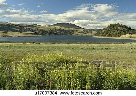 British Columbia, Canada, Nicola River Valley, Nicola Lake View Large Photo Image Picture - British Columbia, Canada, Nicola River Valley, Nicola Lake. Fotosearch