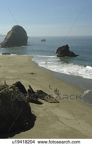 Picture -  Brookings, OR, Oregon, Pacific Ocean, Pacific Coast Scenic Byway, Rt Route, Highway 101, Harris Beach State Park, overlook, Sea Stacks. Fotosearch
