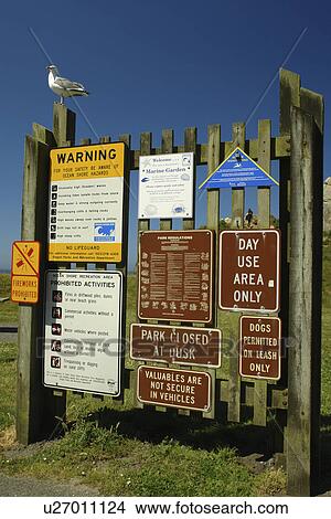 Picture -  Brookings, OR, Oregon, Pacific Ocean, Pacific Coast Scenic Byway, Rt Route, Highway 101, Harris Beach State Park, warning signs, ocean shore hazards, public safety, sea gull. Fotosearch