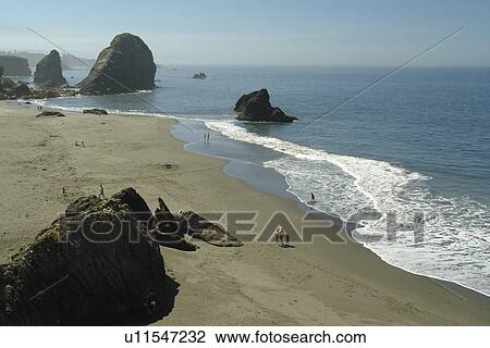 Brookings, OR, Oregon, Pacific Ocean, Pacific Coast Scenic Byway, Rt Route, Highway 101, Harris Beach State Park, overlook, Sea Stacks View Large Photo Image Stock Image - Brookings, OR, Oregon, Pacific Ocean, Pacific Coast Scenic Byway, Rt Route, Highway 101, Harris Beach State Park, overlook, Sea Stacks. Fotosearch