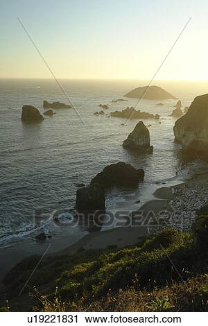 Brookings, OR, Oregon, Pacific Ocean, Pacific Coast Scenic Byway, Rt Route, Highway 101, Harris Beach State Park, Sea Stacks View Large Photo Image Stock Image - Brookings, OR, Oregon, Pacific Ocean, Pacific Coast Scenic Byway, Rt Route, Highway 101, Harris Beach State Park, Sea Stacks. Fotosearch