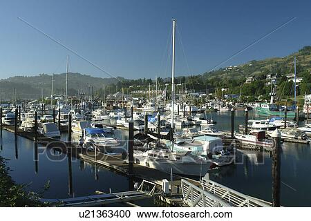 Brookings, OR, Oregon, Pacific Ocean, Pacific Coast Scenic Byway, Rt Route, Highway 101, Harbor View Large Photo Image Stock Image - Brookings, OR, Oregon, Pacific Ocean, Pacific Coast Scenic Byway, Rt Route, Highway 101, Harbor. Fotosearch