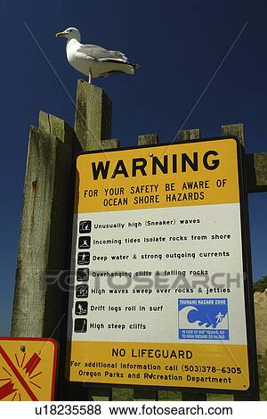 Brookings, OR, Oregon, Pacific Ocean, Pacific Coast Scenic Byway, Rt ...