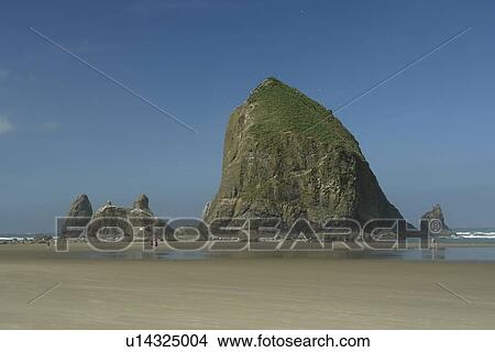 Picture -  Cannon Beach, OR, Oregon, Pacific Ocean, Pacific Coast Scenic Byway, Rt Route, Highway 101, Cannon Beach, Haystack Rock. Fotosearch