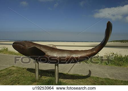 Picture -  Cannon Beach, OR, Oregon, Pacific Ocean, Pacific Coast Scenic Byway, Rt Route, Highway 101, Cannon Beach, whale statue. Fotosearch