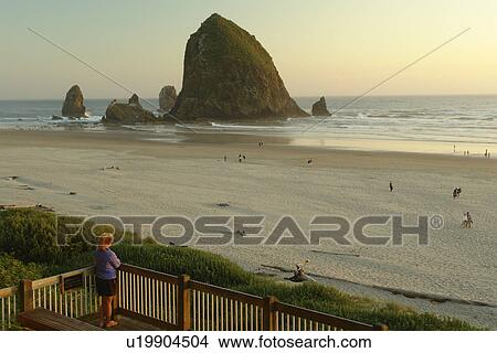 Picture -  Cannon Beach, OR, Oregon, Pacific Ocean, Pacific Coast Scenic Byway, Rt Route, Highway 101, Cannon Beach, Haystack Rock. Fotosearch