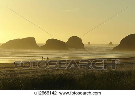 Stock Image -  Cannon Beach, OR, Oregon, Pacific Ocean, Pacific Coast Scenic Byway, Rt Route, Highway 101, Cannon Beach, Bird Rocks. Fotosearch