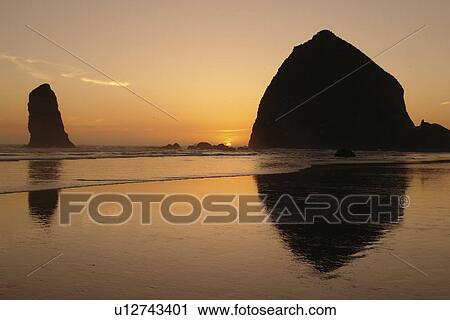 Cannon Beach, OR, Oregon, Pacific Ocean, Pacific Coast Scenic Byway, Rt Route, Highway 101, Cannon Beach, Haystack Rock, reflection, sunset View Large Photo Image Stock Image - Cannon Beach, OR, Oregon, Pacific Ocean, Pacific Coast Scenic Byway, Rt Route, Highway 101, Cannon Beach, Haystack Rock, reflection, sunset. Fotosearch