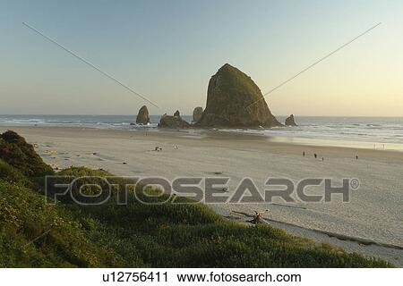 Cannon Beach, OR, Oregon, Pacific Ocean, Pacific Coast Scenic Byway, Rt Route, Highway 101, Cannon Beach, Haystack Rock View Large Photo Image Stock Image - Cannon Beach, OR, Oregon, Pacific Ocean, Pacific Coast Scenic Byway, Rt Route, Highway 101, Cannon Beach, Haystack Rock. Fotosearch