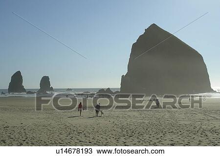 Stock Image -  Cannon Beach, OR, Oregon, Pacific Ocean, Pacific Coast Scenic Byway, Rt Route, Highway 101, Cannon Beach, Haystack Rock. Fotosearch