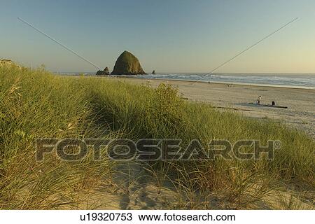 Stock Image -  Cannon Beach, OR, Oregon, Pacific Ocean, Pacific Coast Scenic Byway, Rt Route, Highway 101, Cannon Beach, Haystack Rock. Fotosearch
