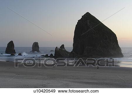 Stock Photo -  Cannon Beach, OR, Oregon, Pacific Ocean, Pacific Coast Scenic Byway, Rt Route, Highway 101, Cannon Beach, Haystack Rock. Fotosearch