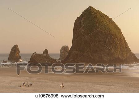 Cannon Beach, OR, Oregon, Pacific Ocean, Pacific Coast Scenic Byway, Rt Route, Highway 101, Cannon Beach, Haystack Rock View Large Photo Image Stock Photo - Cannon Beach, OR, Oregon, Pacific Ocean, Pacific Coast Scenic Byway, Rt Route, Highway 101, Cannon Beach, Haystack Rock. Fotosearch
