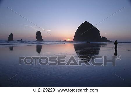 Cannon Beach, OR, Oregon, Pacific Ocean, Pacific Coast Scenic Byway, Rt Route, Highway 101, Cannon Beach, Haystack Rock, reflection, sunset View Large Photo Image Stock Photo - Cannon Beach, OR, Oregon, Pacific Ocean, Pacific Coast Scenic Byway, Rt Route, Highway 101, Cannon Beach, Haystack Rock, reflection, sunset. Fotosearch