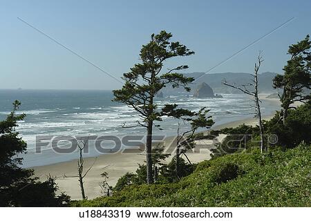 Cannon Beach, OR, Oregon, Pacific Ocean, Pacific Coast Scenic Byway, Rt Route, Highway 101, Tolovana Beach State Park View Large Photo Image Stock Photo - Cannon Beach, OR, Oregon, Pacific Ocean, Pacific Coast Scenic Byway, Rt Route, Highway 101, Tolovana Beach State Park. Fotosearch