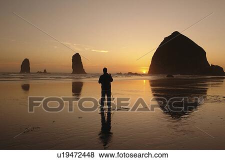 Cannon Beach, OR, Oregon, Pacific Ocean, Pacific Coast Scenic Byway, Rt Route, Highway 101, Cannon Beach, Haystack Rock, reflection, sunset View Large Photo Image Stock Photo - Cannon Beach, OR, Oregon, Pacific Ocean, Pacific Coast Scenic Byway, Rt Route, Highway 101, Cannon Beach, Haystack Rock, reflection, sunset. Fotosearch