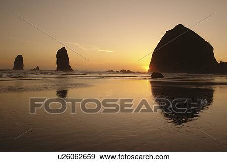 Cannon Beach, OR, Oregon, Pacific Ocean, Pacific Coast Scenic Byway, Rt Route, Highway 101, Cannon Beach, Haystack Rock, reflection, sunset View Large Photo Image Stock Photo - Cannon Beach, OR, Oregon, Pacific Ocean, Pacific Coast Scenic Byway, Rt Route, Highway 101, Cannon Beach, Haystack Rock, reflection, sunset. Fotosearch