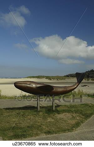 Cannon Beach, OR, Oregon, Pacific Ocean, Pacific Coast Scenic Byway, Rt Route, Highway 101, Cannon Beach, whale statue View Large Photo Image Stock Photography - Cannon Beach, OR, Oregon, Pacific Ocean, Pacific Coast Scenic Byway, Rt Route, Highway 101, Cannon Beach, whale statue. Fotosearch
