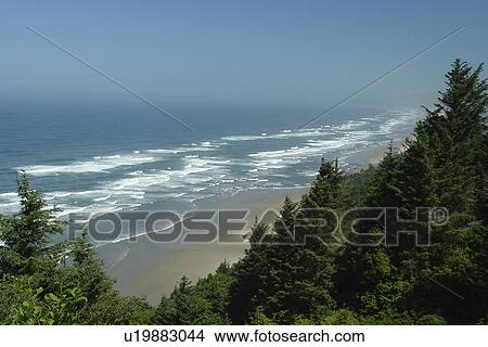 Cape Lookout, OR, Oregon, Pacific Ocean, Pacific Coast Scenic Byway, Rt Route, Highway 101, Cape Lookout State Park View Large Photo Image Picture - Cape Lookout, OR, Oregon, Pacific Ocean, Pacific Coast Scenic Byway, Rt Route, Highway 101, Cape Lookout State Park. Fotosearch