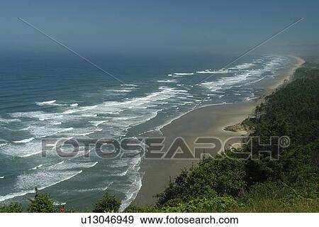 Cape Lookout, OR, Oregon, Pacific Ocean, Pacific Coast Scenic Byway, Rt Route, Highway 101, Cape Lookout State Park View Large Photo Image Stock Photo - Cape Lookout, OR, Oregon, Pacific Ocean, Pacific Coast Scenic Byway, Rt Route, Highway 101, Cape Lookout State Park. Fotosearch