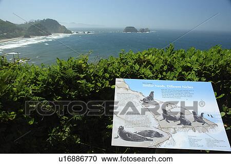 Stock Image -  Cape Meares, OR, Oregon, Pacific Ocean, Pacific Coast Scenic Byway, Rt Route, Highway 101, Cape Meares State Scenic Viewpoint, overlook, interpretive sign. Fotosearch
