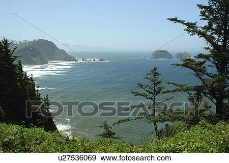 Cape Meares, OR, Oregon, Pacific Ocean, Pacific Coast Scenic Byway, Rt Route, Highway 101, Cape Meares State Scenic Viewpoint, overlook View Large Photo Image Stock Photo - Cape Meares, OR, Oregon, Pacific Ocean, Pacific Coast Scenic Byway, Rt Route, Highway 101, Cape Meares State Scenic Viewpoint, overlook. Fotosearch