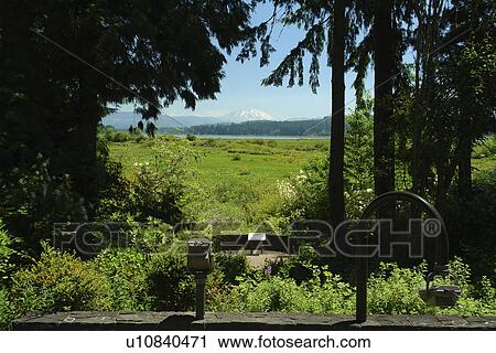 Castle Rock, WA, Washington, Mount St. Helens National Volcanic Monument, view of Mount St. Helens from Visitor Center View Large Photo Image Stock Image - Castle Rock, WA, Washington, Mount St. Helens National Volcanic Monument, view of Mount St. Helens from Visitor Center. Fotosearch