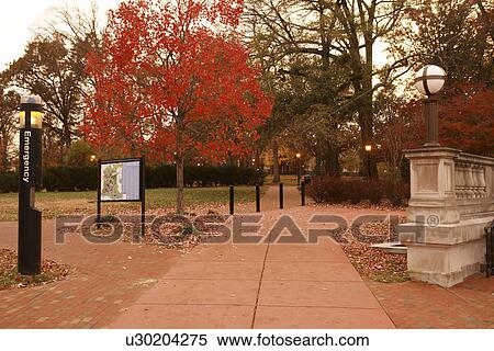 Chapel Hill, NC, North Carolina, The University of North Carolina at Chapel Hill, autumn View Large Photo Image Stock Photography - Chapel Hill, NC, North Carolina, The University of North Carolina at Chapel Hill, autumn. Fotosearch