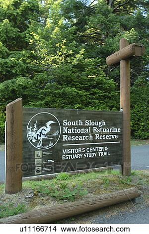 Charleston, OR, Oregon, Pacific Ocean, South Slough National Estuarine Research Reserve View Large Photo Image Picture - Charleston, OR, Oregon, Pacific Ocean, South Slough National Estuarine Research Reserve. Fotosearch