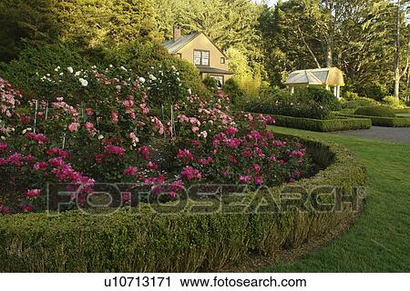 Stock Image -  Charleston, OR, Oregon, Pacific Ocean, Shore Acres State Park and Botanical Gardens. Fotosearch