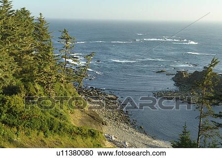 Charleston, OR, Oregon, Pacific Ocean, Pacific Coast Scenic Byway, Rt Route, Highway 101, Cape Arago State Park View Large Photo Image Stock Image - Charleston, OR, Oregon, Pacific Ocean, Pacific Coast Scenic Byway, Rt Route, Highway 101, Cape Arago State Park. Fotosearch