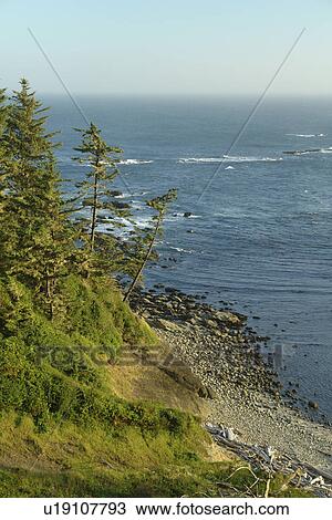 Stock Image -  Charleston, OR, Oregon, Pacific Ocean, Pacific Coast Scenic Byway, Rt Route, Highway 101, Cape Arago State Park. Fotosearch