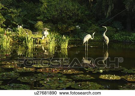 Charleston, OR, Oregon, Pacific Ocean, Shore Acres State Park and Botanical Gardens View Large Photo Image Stock Image - Charleston, OR, Oregon, Pacific Ocean, Shore Acres State Park and Botanical Gardens. Fotosearch