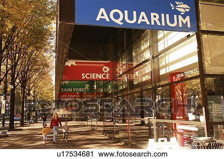 Charlotte, NC, North Carolina, Downtown, Discovery Place, Aquarium View Large Photo Image Stock Image - Charlotte, NC, North Carolina, Downtown, Discovery Place, Aquarium. Fotosearch