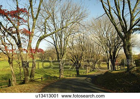 Charlottesville, VA, Virginia, Ash Lawn-Highland View Large Photo Image Stock Image - Charlottesville, VA, Virginia, Ash Lawn-Highland. Fotosearch