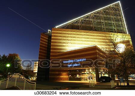 Chattanooga, TN, Tennessee, Tennessee Aquarium, River Journey, evening View Large Photo Image Picture - Chattanooga, TN, Tennessee, Tennessee Aquarium, River Journey, evening. Fotosearch