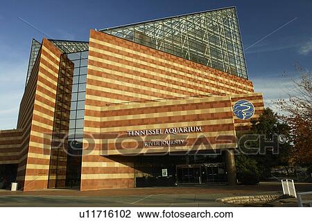 Chattanooga, TN, Tennessee, Tennessee Aquarium, River Journey View Large Photo Image Stock Image - Chattanooga, TN, Tennessee, Tennessee Aquarium, River Journey. Fotosearch