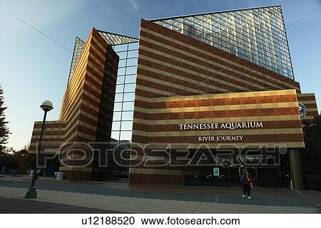 Stock Image -  Chattanooga, TN, Tennessee, Tennessee Aquarium, River Journey. Fotosearch
