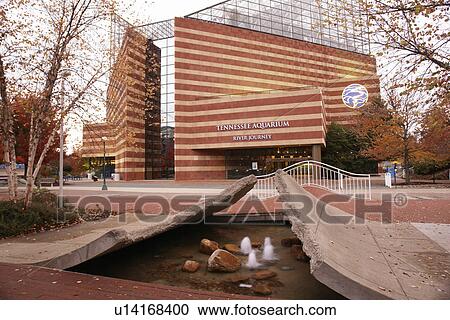 Stock Image -  Chattanooga, TN, Tennessee, Tennessee Aquarium, River Journey. Fotosearch